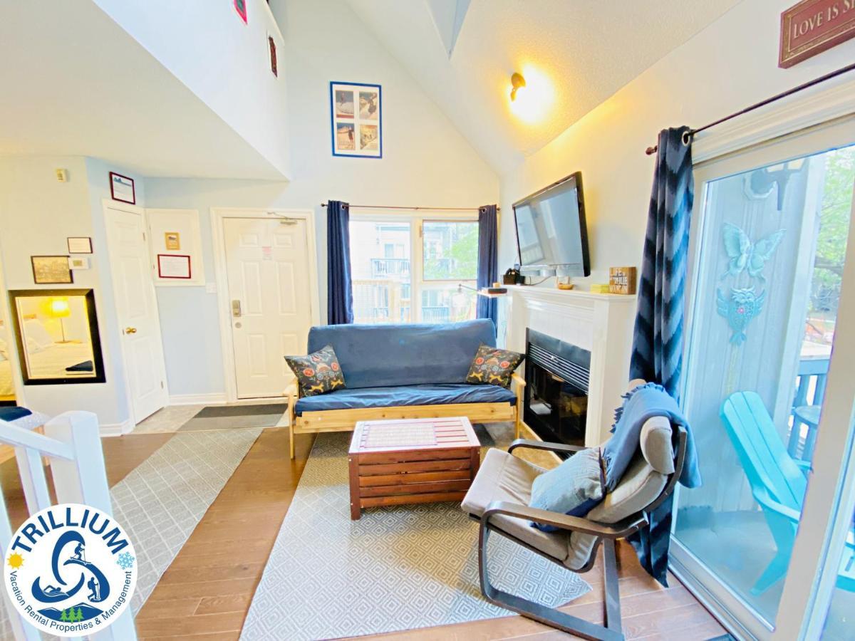 Cozy Studio Loft With 2 Baths Next To Slopes Blue Mountains Luaran gambar