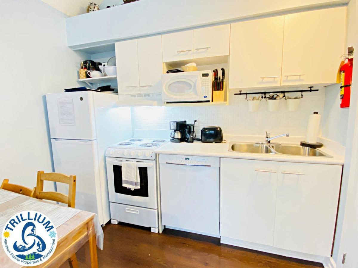 Cozy Studio Loft With 2 Baths Next To Slopes Blue Mountains Luaran gambar